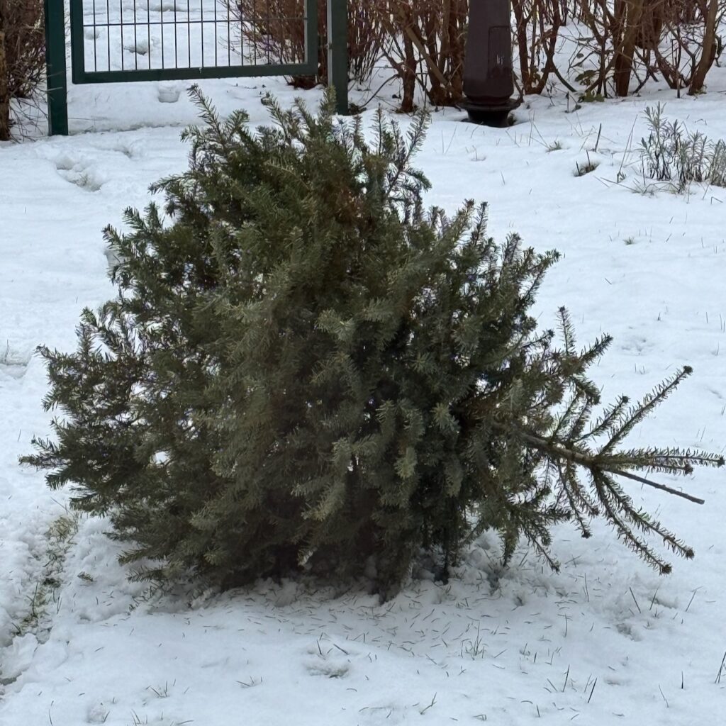 Weihnachten ist offiziell vorbei